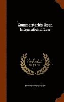 bokomslag Commentaries Upon International Law
