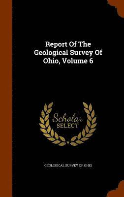 Geological Survey of Ohio - Report Of The Geological Survey Of Ohio, Volume 6, Inbunden