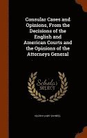 bokomslag Consular Cases and Opinions, From the Decisions of the English and American Courts and the Opinions of the Attorneys General