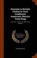 bokomslag Excerpta Le Rotulis Finium In Turri Londinensi Asservatis, Henrico Tertio Rege