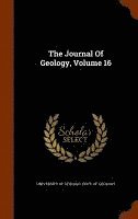 bokomslag The Journal Of Geology, Volume 16