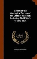 Report of the Geological Survey of the State of Missouri Including Field Work of 1873-1874 1