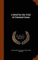 bokomslag A Brief for the Trial of Criminal Cases