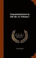 Commentariorum In Iob Lib. 13, Volume 1 1