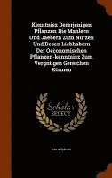 bokomslag Kenntnisz Dererjenigen Pflanzen Die Mahlern Und Jaebern Zum Nutzen Und Desen Liebhabern Der Oeconomischen Pflanzen-kenntnisz Zum Vergngen Gereichen Knnen