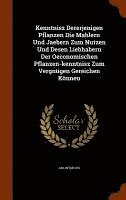 bokomslag Kenntnisz Dererjenigen Pflanzen Die Mahlern Und Jaebern Zum Nutzen Und Desen Liebhabern Der Oeconomischen Pflanzen-kenntnisz Zum Vergnügen Gereichen Können