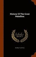 bokomslag History Of The Great Rebellion