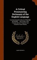 bokomslag A Critical Pronouncing Dictionary of the English Language