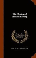 J G 1827-1889 Wood - Illustrated Natural History, Inbunden