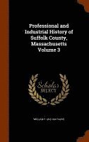 bokomslag Professional and Industrial History of Suffolk County, Massachusetts Volume 3