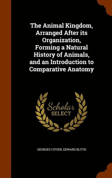 bokomslag The Animal Kingdom, Arranged After its Organization, Forming a Natural History of Animals, and an Introduction to Comparative Anatomy