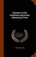 bokomslag Diseases of the Intestines and Lower Alimentary Tract