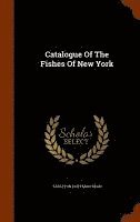 bokomslag Catalogue Of The Fishes Of New York