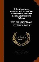bokomslag A Treatise on the Common and Statute law of the State of New York Relating to Insolvent Debtors
