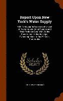 Report Upon New York's Water Supply 1