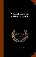 bokomslag A Guidebook to the Biblical Literature