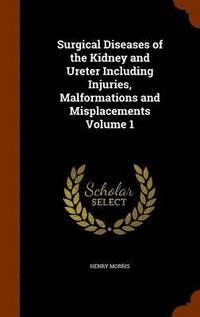 bokomslag Surgical Diseases of the Kidney and Ureter Including Injuries, Malformations and Misplacements Volume 1