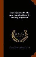 bokomslag Transactions Of The American Institute Of Mining Engineers