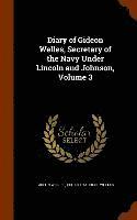 bokomslag Diary of Gideon Welles, Secretary of the Navy Under Lincoln and Johnson, Volume 3