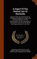 bokomslag A Digest Of The Statute Law Of Kentucky