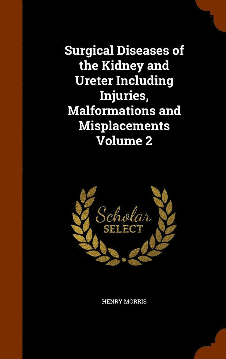 Surgical Diseases of the Kidney and Ureter Including Injuries, Malformations and Misplacements Volume 2 1