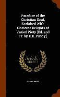 bokomslag Paradise of the Christian Soul, Enriched With Choicest Delights of Varied Piety [Ed. and Tr. by E.B. Pusey.]