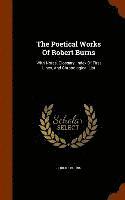bokomslag Poetical Works Of Robert Burns