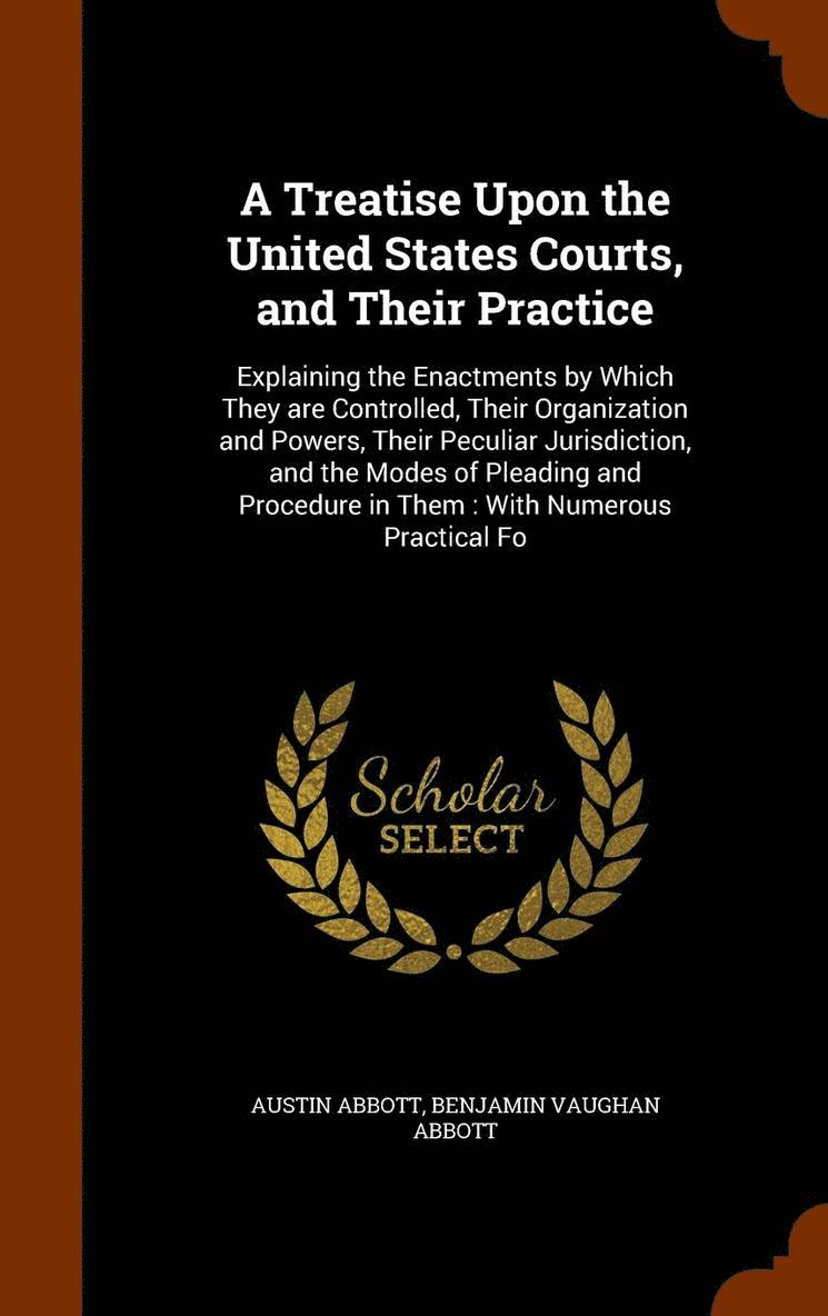 A Treatise Upon the United States Courts, and Their Practice 1