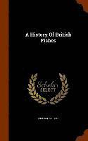 bokomslag A History Of British Fishes