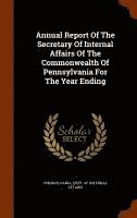 bokomslag Annual Report Of The Secretary Of Internal Affairs Of The Commonwealth Of Pennsylvania For The Year Ending