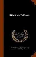 bokomslag Minutes of Evidence