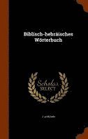 bokomslag Biblisch-hebräisches Wörterbuch