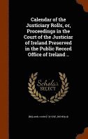 bokomslag Calendar of the Justiciary Rolls, or, Proceedings in the Court of the Justiciar of Ireland Preserved in the Public Record Office of Ireland ..
