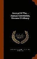 bokomslag Journal Of The ... Annual Convention, Diocese Of Albany