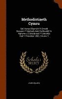 bokomslag Methodistiaeth Cymru
