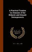 bokomslag A Practical Treatise On Diseases of the Kidneys and Urinary Derangements