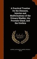 bokomslag A Practical Treatise On the Diseases, Injuries and Malformations of the Urinary Bladder, the Prostate Gland, and the Urethra