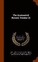 bokomslag The Anatomical Record, Volume 10