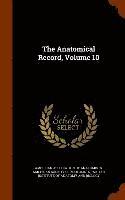 bokomslag Anatomical Record, Volume 10