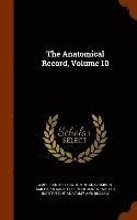 bokomslag The Anatomical Record, Volume 10