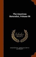 bokomslag American Naturalist, Volume 56
