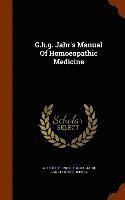 bokomslag G.h.g. Jahr's Manual Of Homoeopathic Medicine