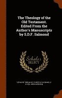 bokomslag Theology of the Old Testament. Edited From the Author's Manuscripts by S.D.F. Salmond