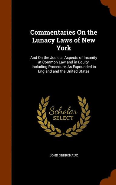 bokomslag Commentaries On the Lunacy Laws of New York