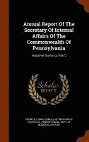 bokomslag Annual Report Of The Secretary Of Internal Affairs Of The Commonwealth Of Pennsylvania