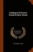 bokomslag Catalogue Of Insects Found In New Jersey