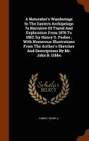 Naturalist's Wanderings In The Eastern Archipelago ?a Narrative Of Travel And Exploration From 1878 To 1883 /by Henry O. Forbes; With Numerous Illustrations From The Author's Sketches And Descriptions By Mr. John B. Gibbs