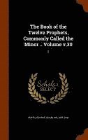 bokomslag The Book of the Twelve Prophets, Commonly Called the Minor .. Volume v.30