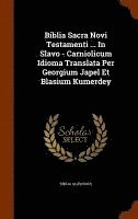 bokomslag Biblia Sacra Novi Testamenti ... In Slavo - Carniolicum Idioma Translata Per Georgium Japel Et Blasium Kumerdey