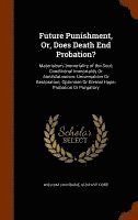 Future Punishment, Or, Does Death End Probation?